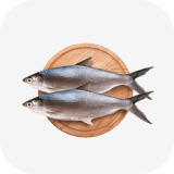 Ikan Bandeng
